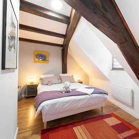 Les Lionceaux, 120M2 A Colmar, Place De Parking Gratuite المظهر الخارجي الصورة