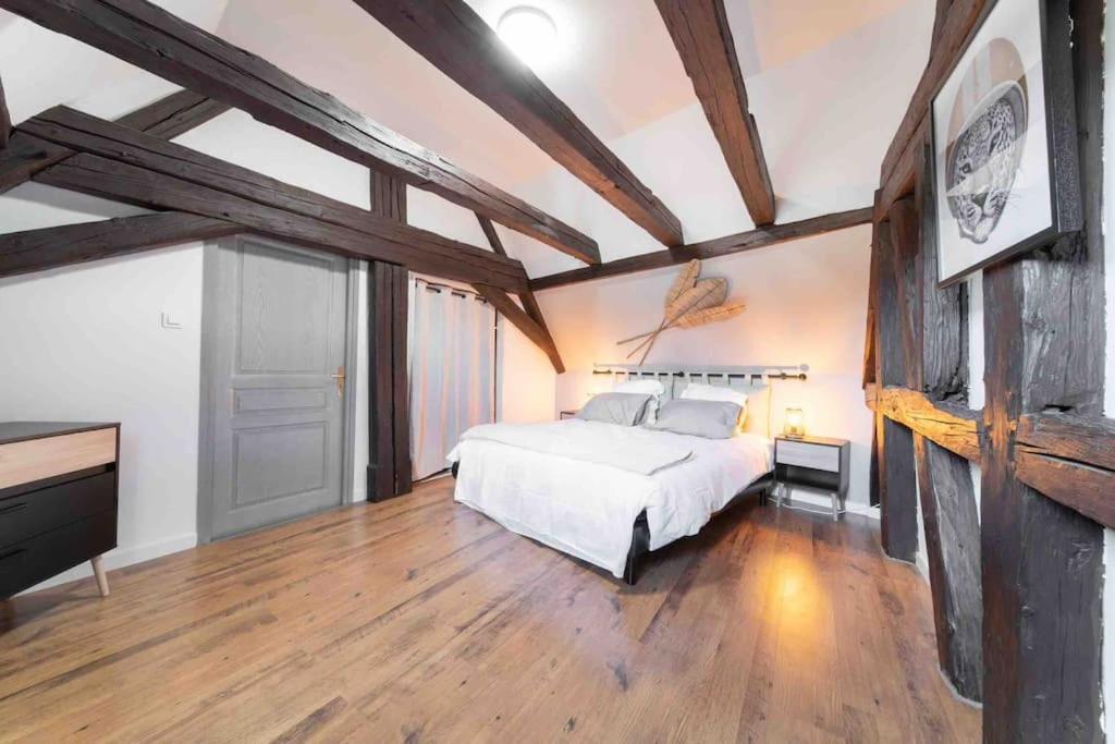 Les Lionceaux, 120M2 A Colmar, Place De Parking Gratuite المظهر الخارجي الصورة