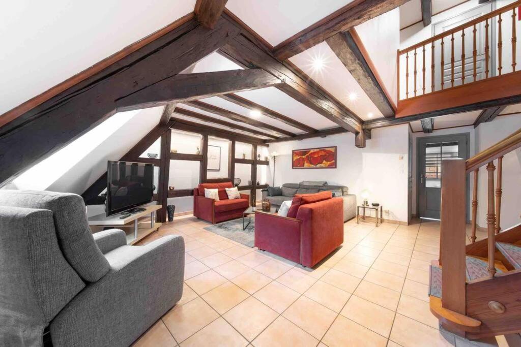 Les Lionceaux, 120M2 A Colmar, Place De Parking Gratuite المظهر الخارجي الصورة