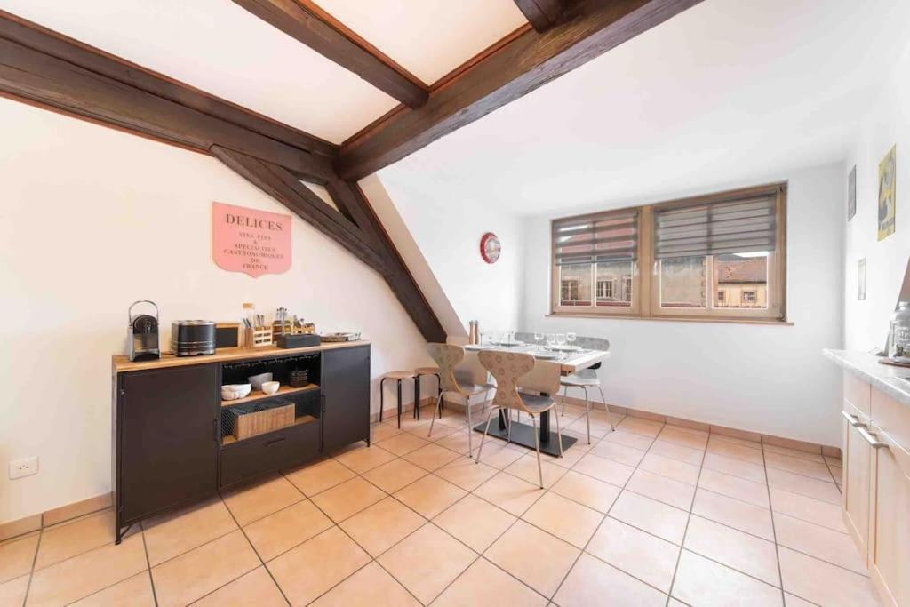 Les Lionceaux, 120M2 A Colmar, Place De Parking Gratuite المظهر الخارجي الصورة