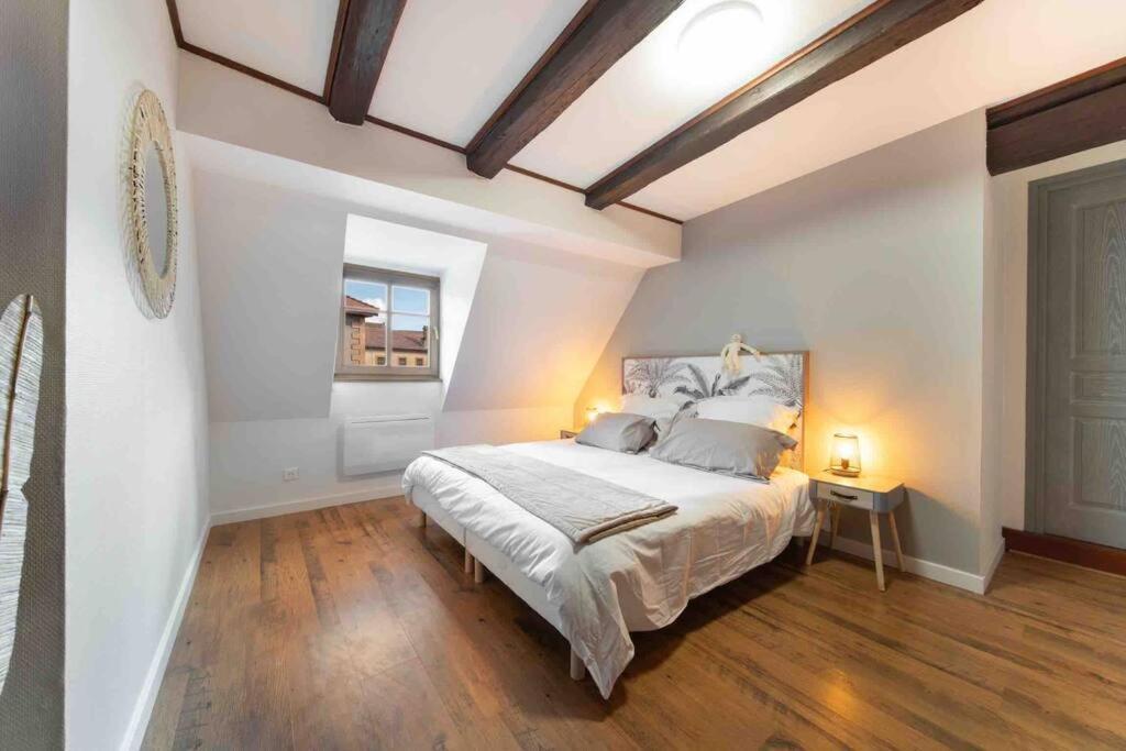 Les Lionceaux, 120M2 A Colmar, Place De Parking Gratuite المظهر الخارجي الصورة